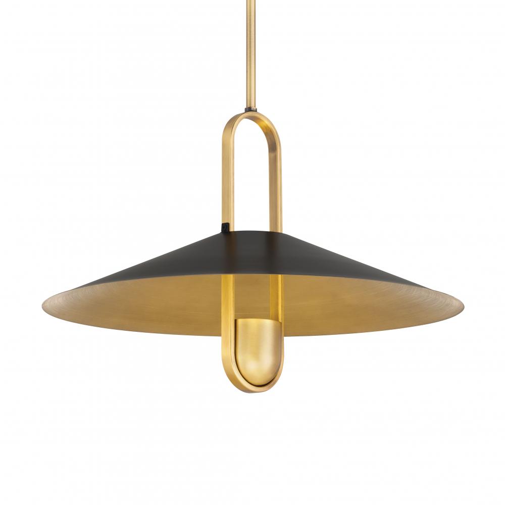 Goldenridge - 1 Light Pendant