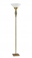 Adesso 5168-21 - Murphy 300W Torchiere
